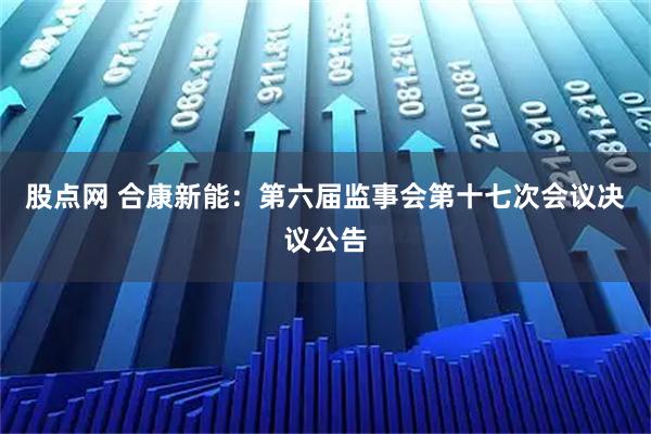 股点网 合康新能：第六届监事会第十七次会议决议公告
