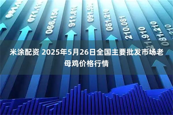 米涂配资 2025年5月26日全国主要批发市场老母鸡价格行情