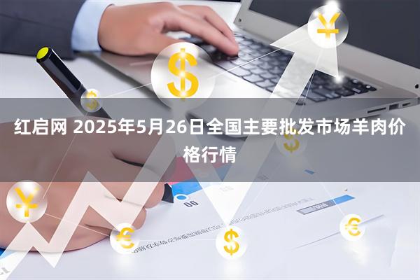 红启网 2025年5月26日全国主要批发市场羊肉价格行情