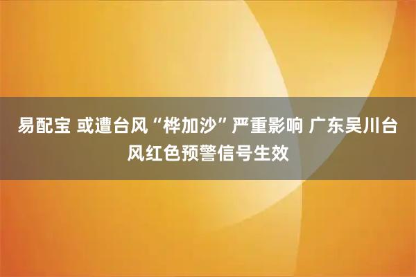易配宝 或遭台风“桦加沙”严重影响 广东吴川台风红色预警信号生效