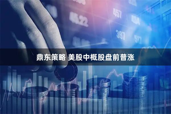 鼎东策略 美股中概股盘前普涨