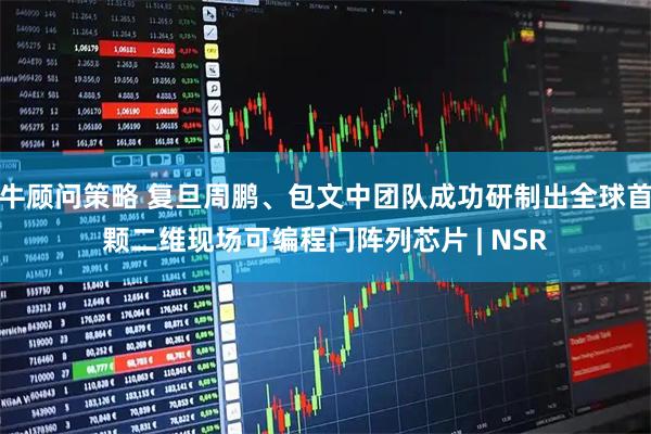 牛顾问策略 复旦周鹏、包文中团队成功研制出全球首颗二维现场可编程门阵列芯片 | NSR
