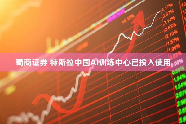 蜀商证券 特斯拉中国AI训练中心已投入使用