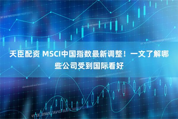 天臣配资 MSCI中国指数最新调整！一文了解哪些公司受到国际看好