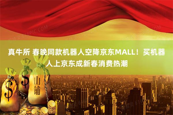 真牛所 春晚同款机器人空降京东MALL！买机器人上京东成新春消费热潮